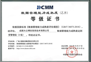 数据管理成熟度二级证书